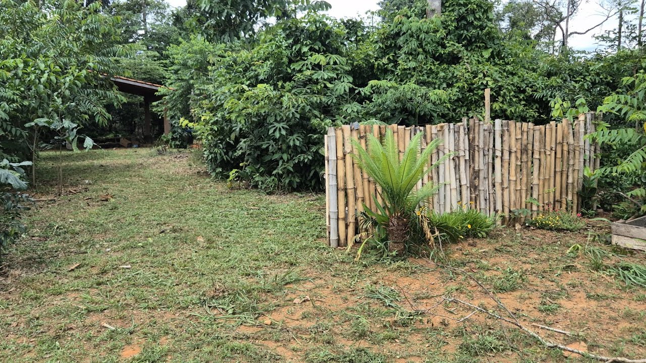 Olha que incrível o tanto de natureza tem em 2000 metros quadrados!!
