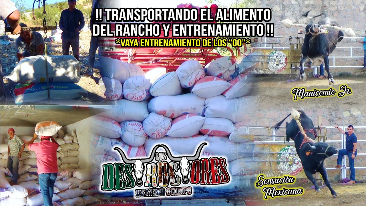 TRANSPORTANDO El ALIMENTO Del Rancho | VAYA Entrenamiento Con La Cantera 