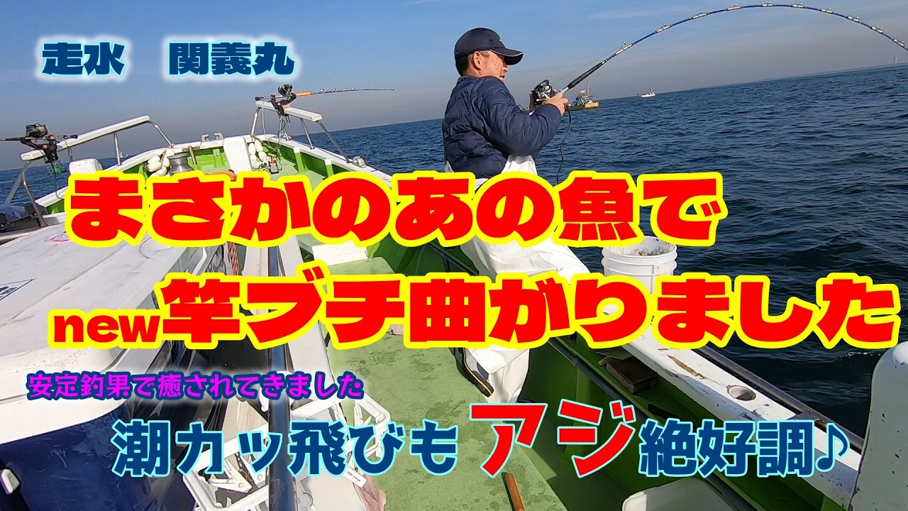 これだったか!! あの魚でロッドブチ曲がりました　安定釣果　真冬の走水ビシアジ釣り　関義丸
