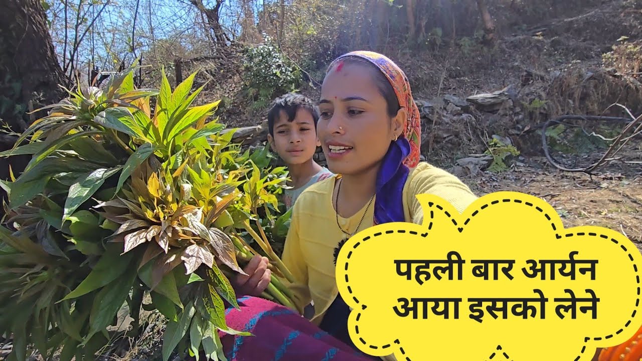 इतनी दूर जाना पङा इस चीज को लेने! Pahadilife StyleVlog 