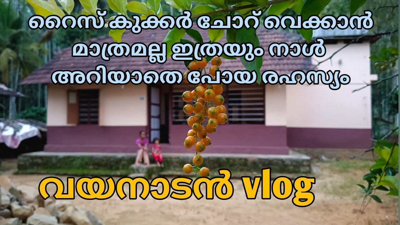 നാട്ടിൻപുറത്തെ ഒരു സാധാരണ കുടുംബം |Day in my life | village life style  