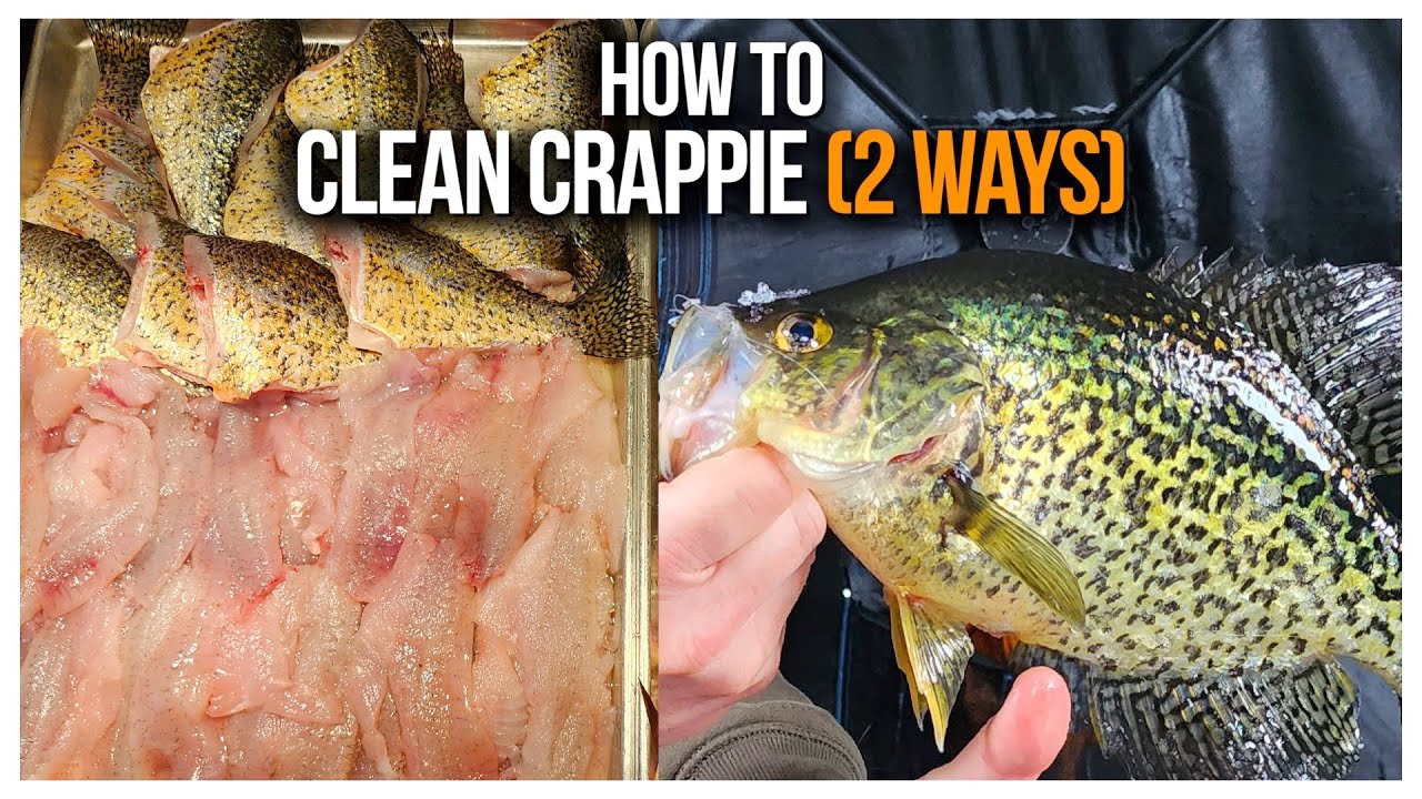 How to Clean Crappie & Get The Most Meat