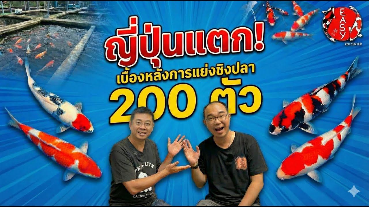 ญี่ปุ่นแตก! เบื้องหลังการแย่งชิงปลา 200 ตัว ฝ่าดงดีลเลอร์ทั่วโลก เพื่อสิ่งนี้...