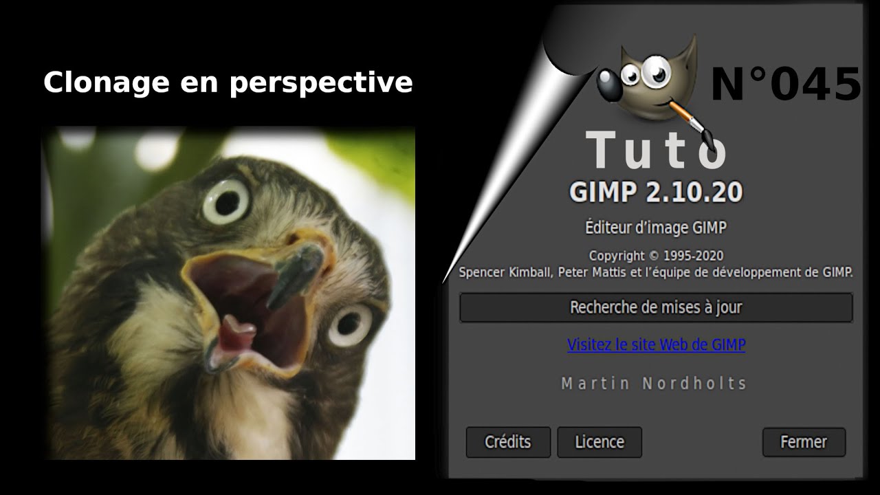 Tuto Gimp 2 10 20 – 045 - L’outil de clonage en perspective
