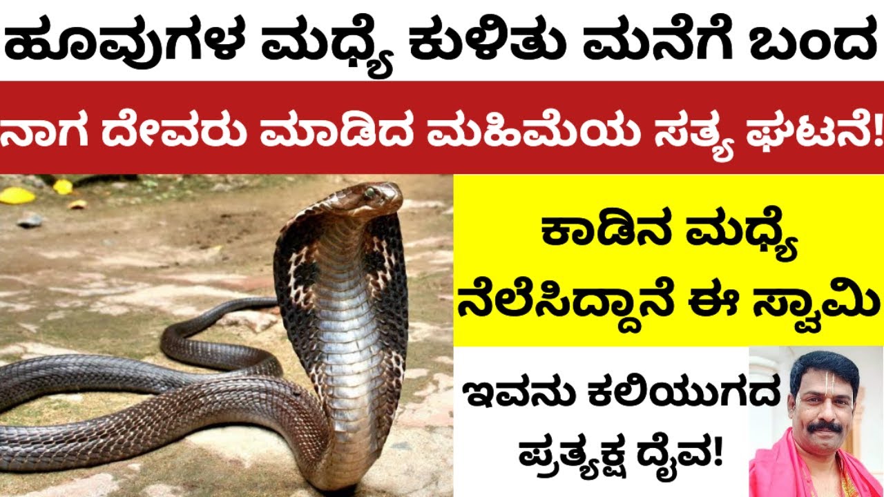 ಯೋಗ ಇದ್ದವರಿಗೆ ಮಾತ್ರ ಇವನ ದರ್ಶನ  ಸಾಧ್ಯ !
