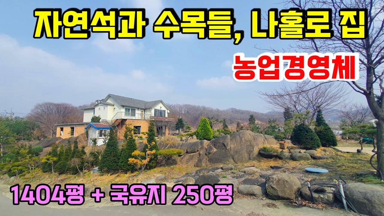 1224. 토지 1404평에 국유지 250평을 추가 사용하는 전원주택으로 마을과 완전 떨어진 2차선변이고 수많은 돌들과 수목들이 있어 개인 공원으로 사용 가능한곳 #보은전원주택