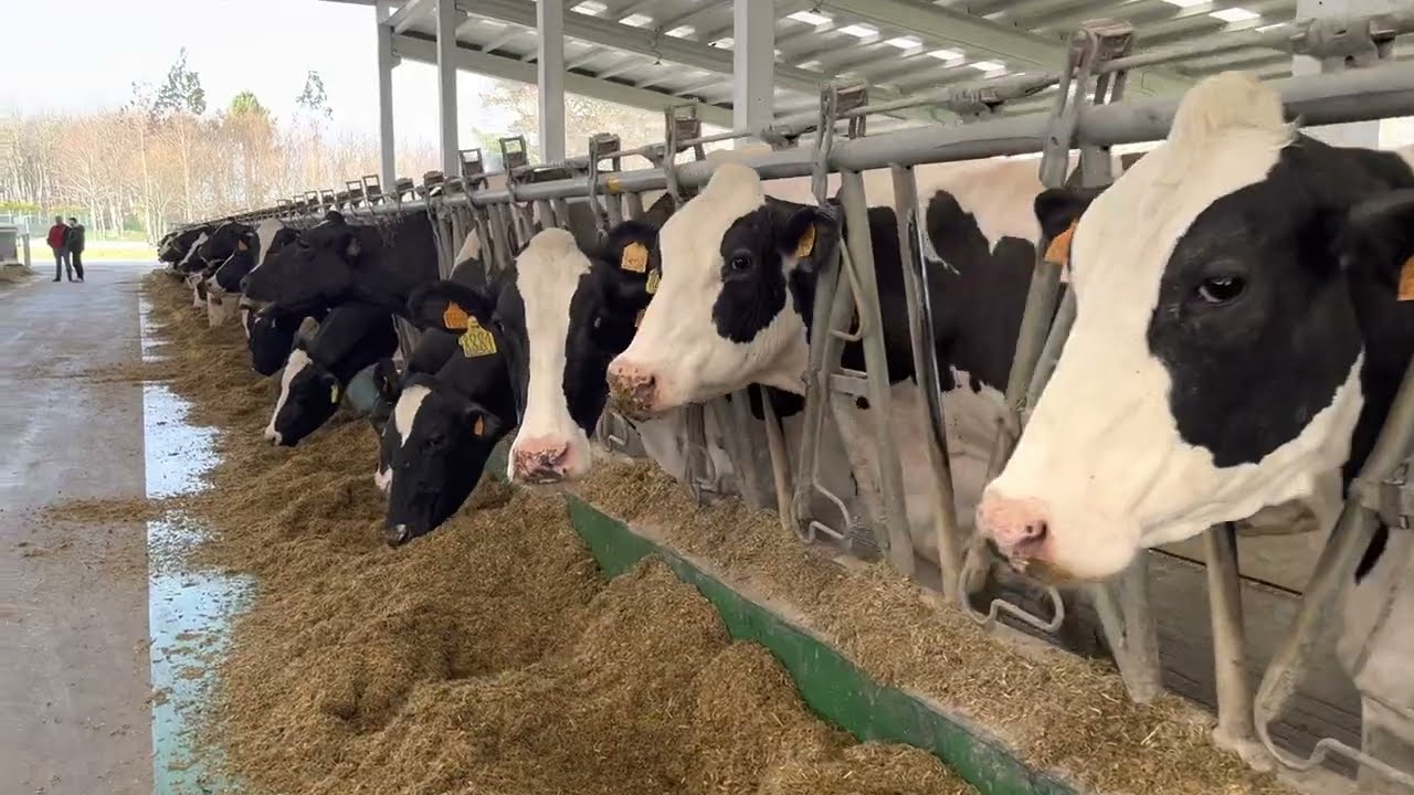 A couple of days in Spain