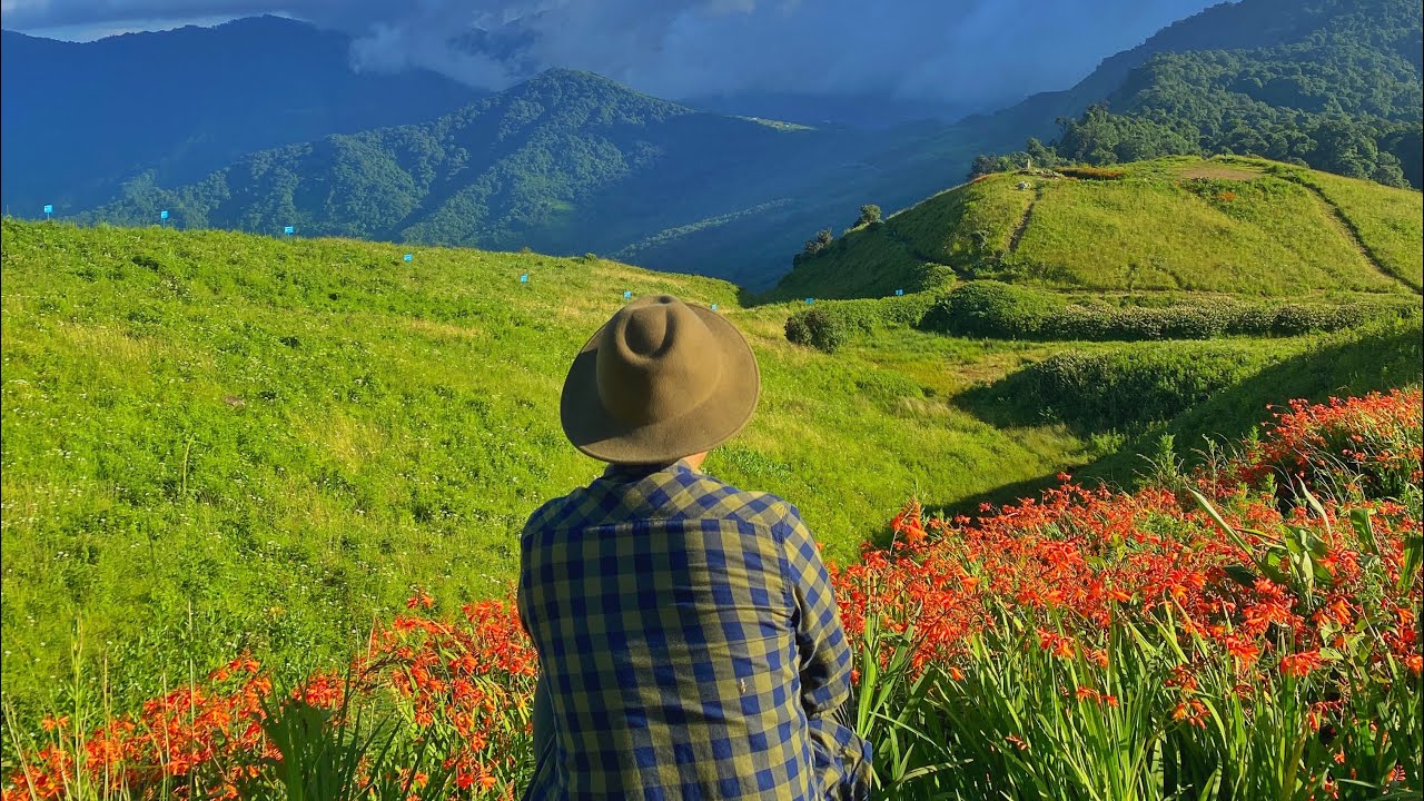 Trek to Mount Kapamodzu | Must Visit Place in Nagaland, India