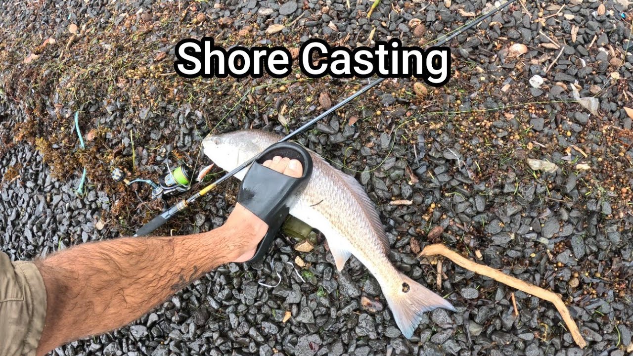 | Shore Casting fishing Mauritius | Caught really nice fish |