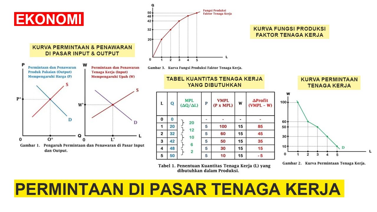Teori Permintaan di Pasar Tenaga Kerja (Demand in Labour Market) - EKONOMI