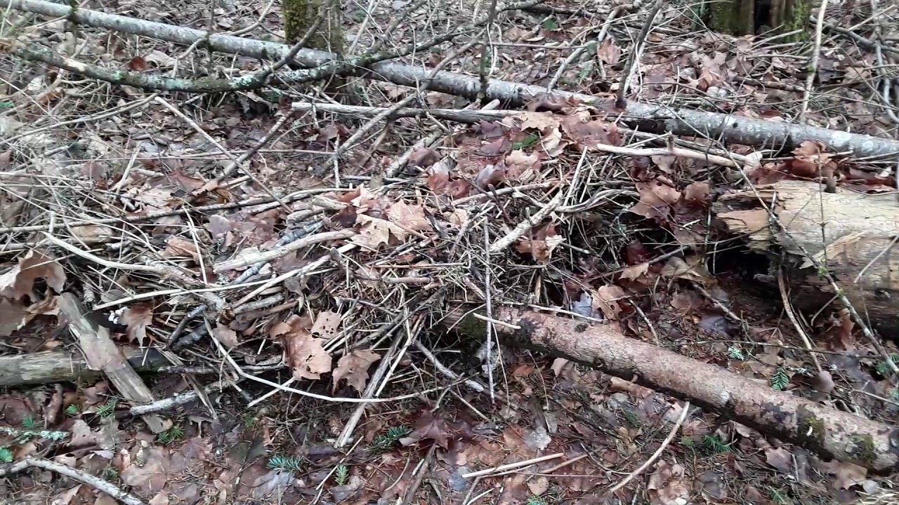 This is how high the ammonoosuc River gets