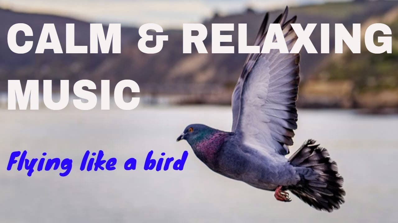 Relaxing Music, Deep Sleeping Music, Calm Music, Soothing Music #relaxingmusic #piano #birds