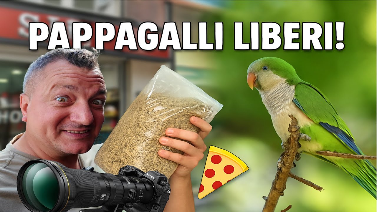 Tra Negozi di Animali e Pappagalli Liberi in Città – Vlog Speciale