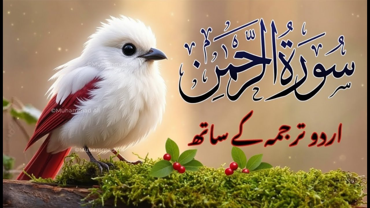 Surah Rahman Urdu Tarjuma k Sath | Qari Al Sheikh Abdul Basit Abdul Samad | MD Quran Tilawat