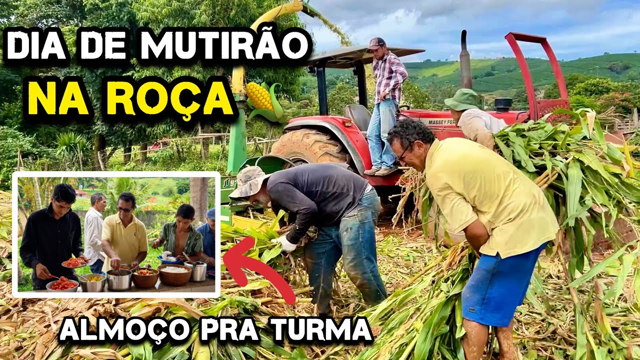 Fazendo silo de milho 🌽 | União, almoço caprichado e café na roça