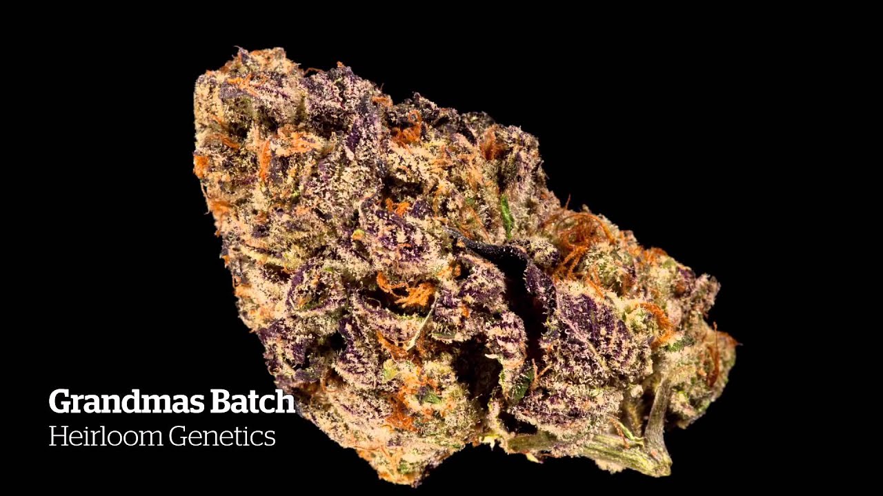 2014 HIGH TIMES Seattle US Cannabis Cup Entries Part II
