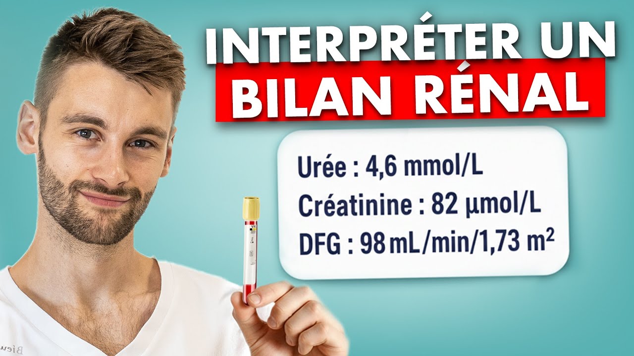 Bilan rénal sanguin : normes et interprétation des résultats - guide infirmier