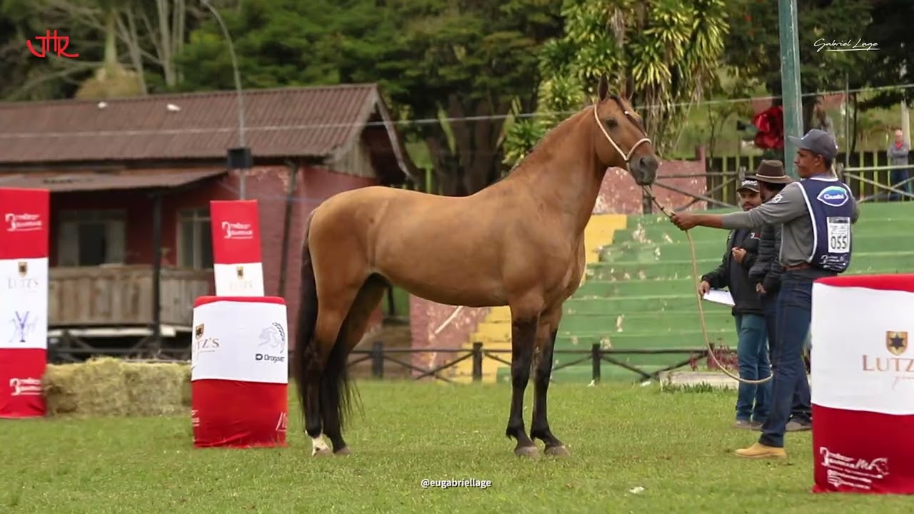 OSCAR DE LUANDA