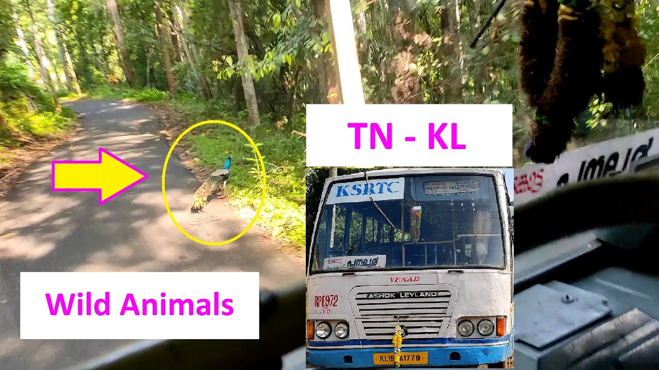 Sengottai - Achan Kovil Forest Journey in KSRTC Bus | Tamil Nadu - Kerala Border