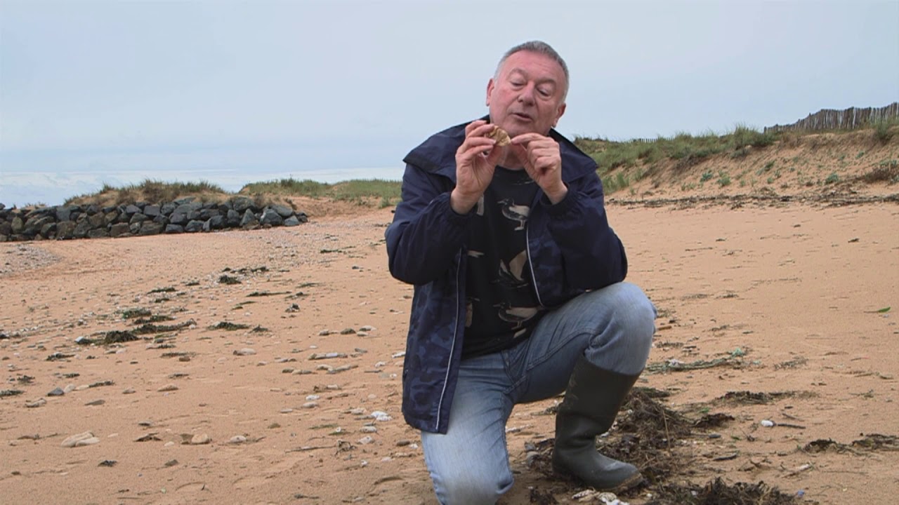 EN CHEMIN LES LAISSES DE MER