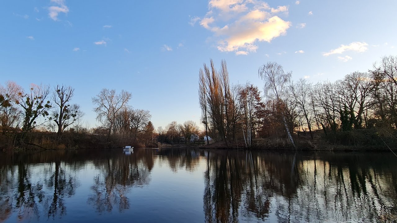 Bürgerpark Darmstadt جولة شتوية في حديقة