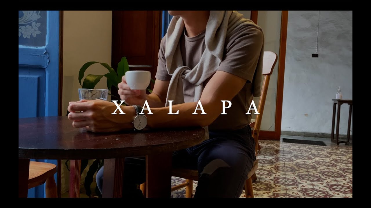 Xalapa desde mis ojos 🌳🌧🎼