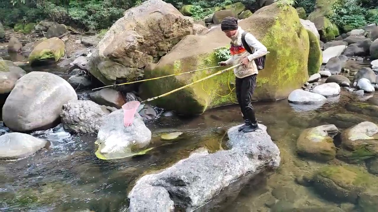 catching fish with modern technology part 2#gooctachfish