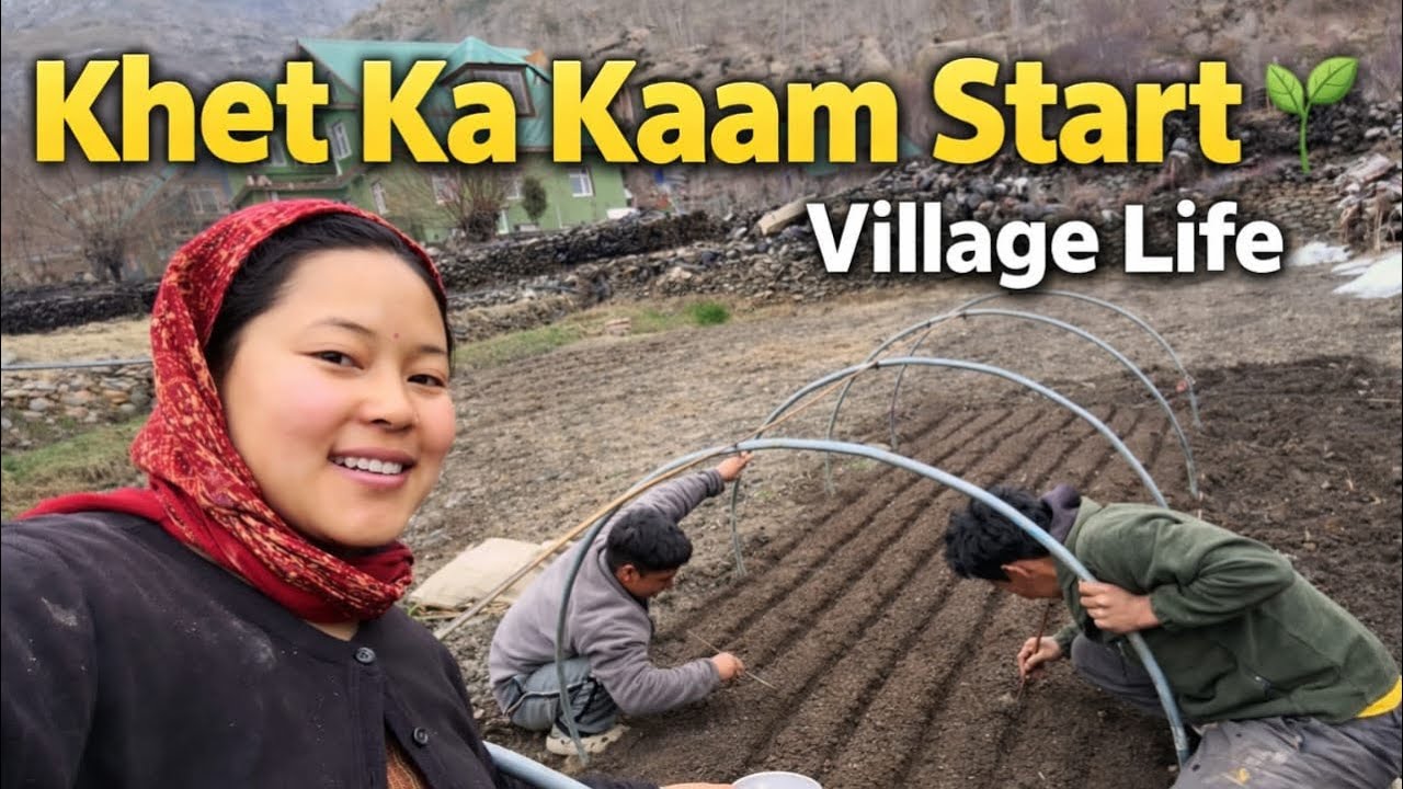 🥦Aaj Gobhi Ki Paniri Lagayi 🌱khet ka kaam start 🌳Village life 📈
