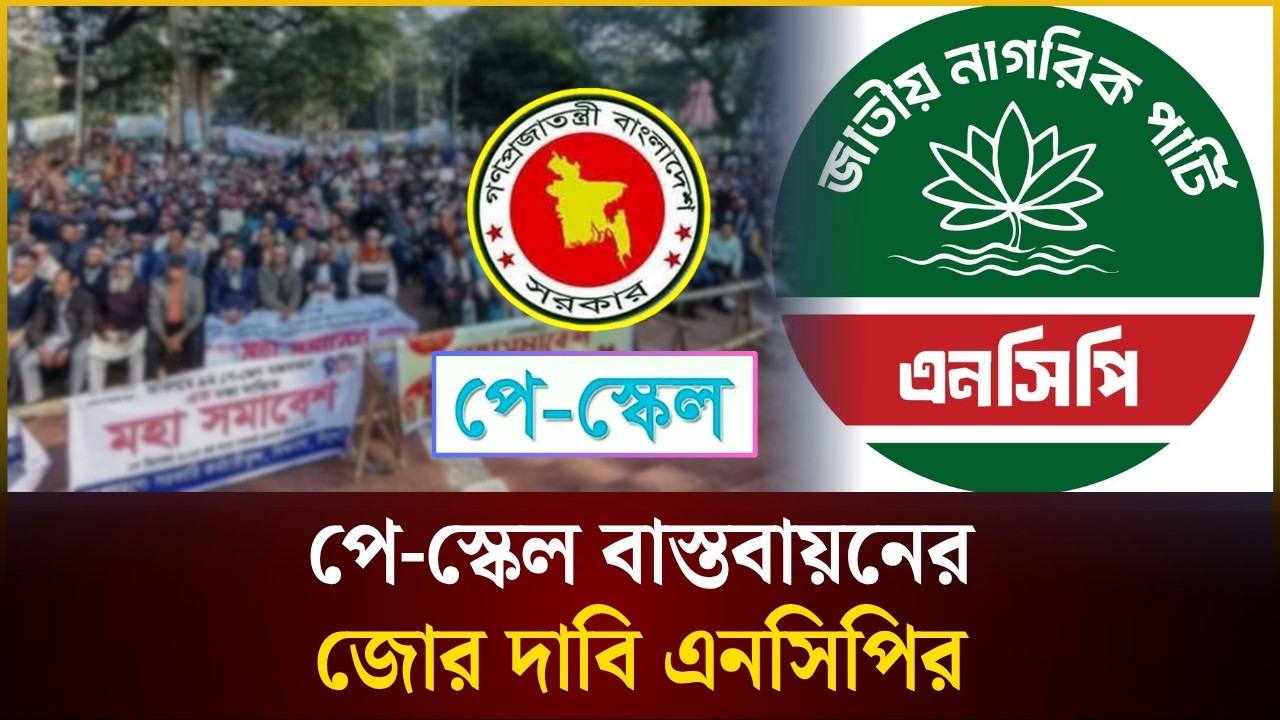 পে-স্কেল বাস্তবায়নের জোর দাবি এনসিপির | Pay Scale | NCP | The Daily Campus