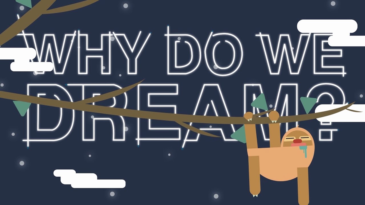WHY DO WE DREAM? - Animation