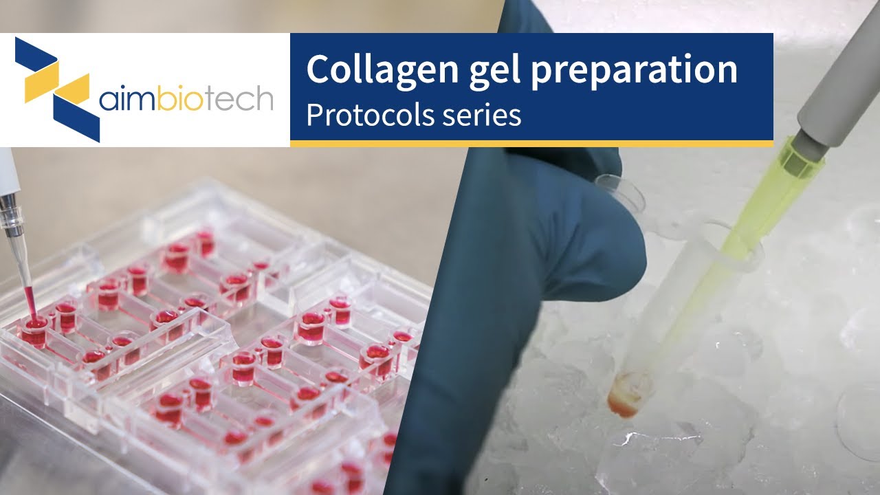 IdentX – Collagen Gel Preparation Protocol