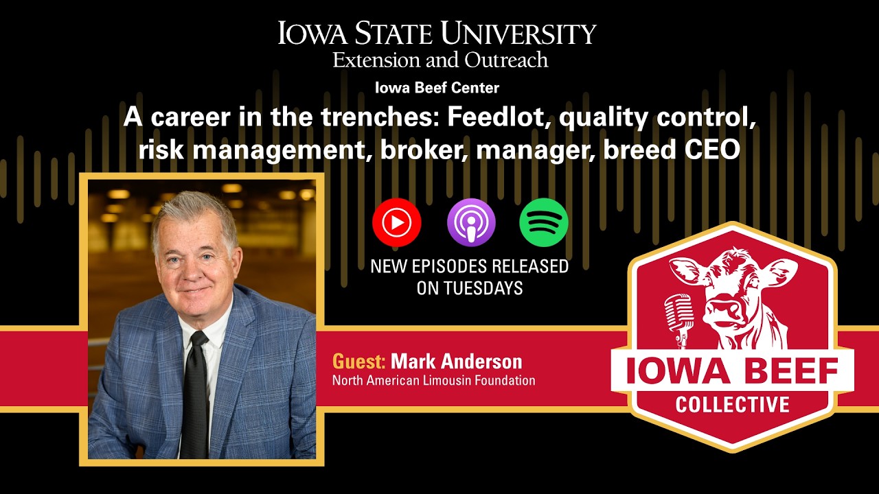 A Career in the Trenches: feedlot, quality control, risk management, broker, manager, breed CEO