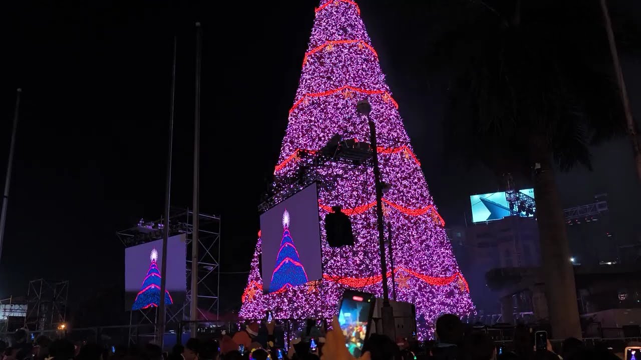 Inauguración del Árbol Gallo 2025, y sé encendió las luces navideñas en Guatemala 