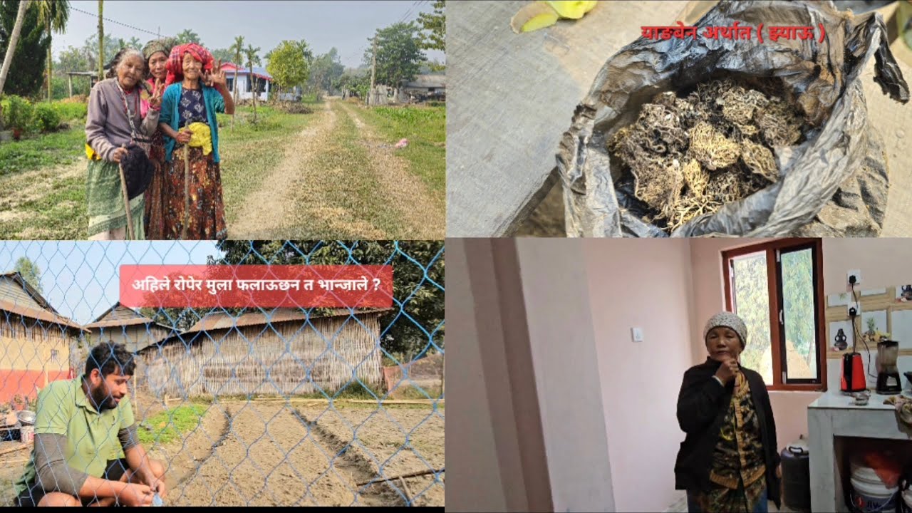 मेरो गाऊघरमा के के हुदैछ?