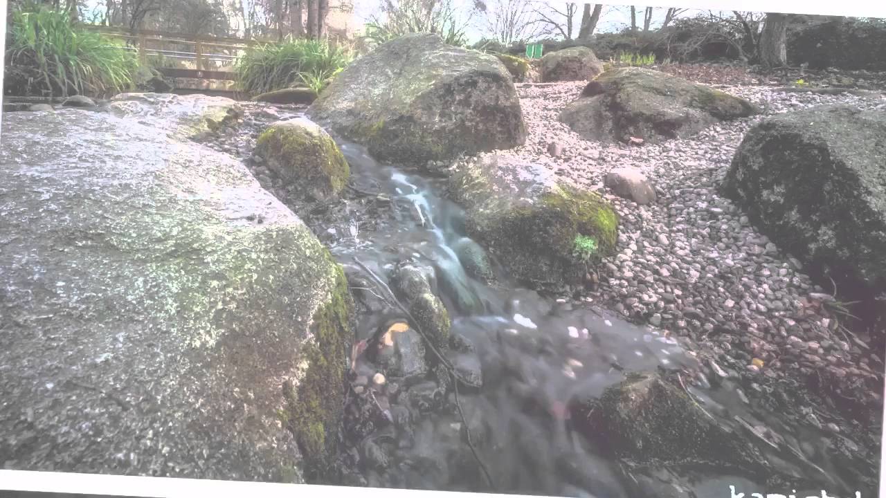 Mannheim Luisenpark