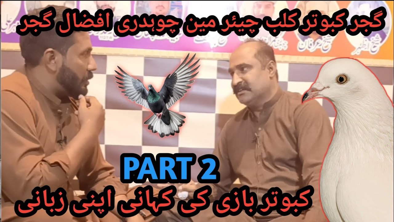 IK SHOK KABOTAR BAAZI DA INTERVIEW|| AFZAAL GUJJAR FROM CHICHAWATNI PART 2|| #pigeon #kabutar #birds