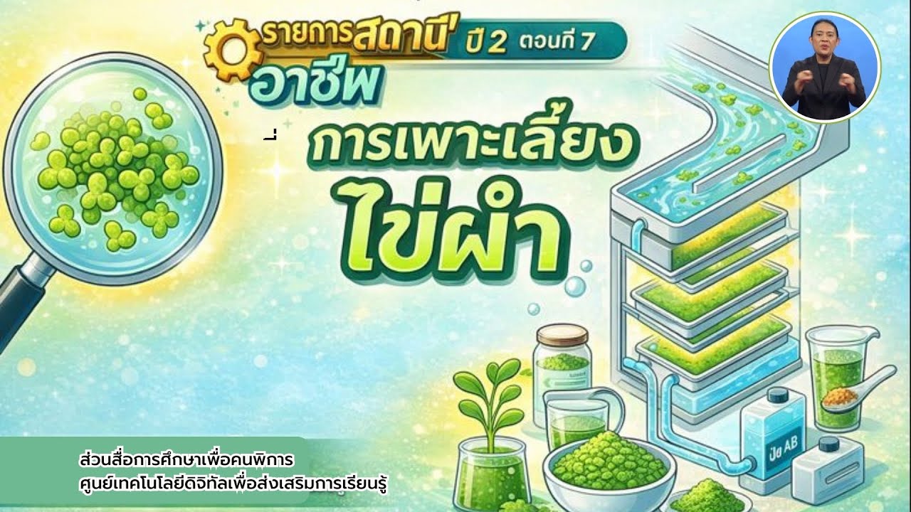 สถานีอาชีพ ปี 2 ตอนที่ 7 การเพาะเลี้ยงไข่ผำ (มีภาษามือ)