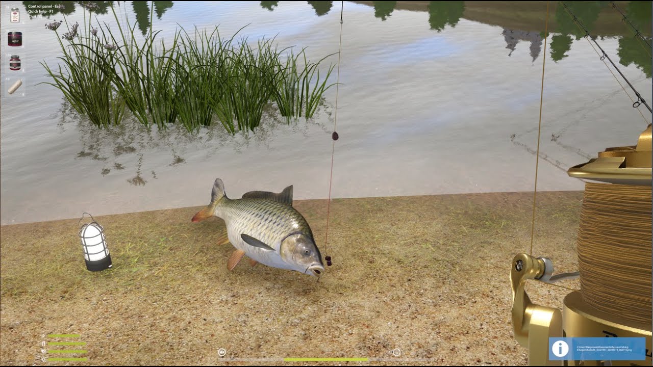 HUNTING THE MONSTERS OF THE SURA RIVER (SURA RIVER - NEW WILD CARP SPOT)