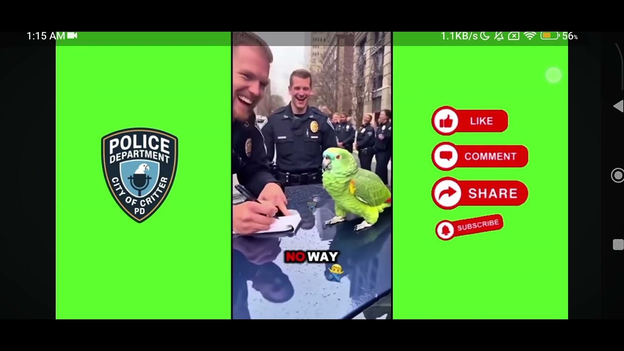 This parrot is roasting the cops *TRY NOT TO LAUGH*