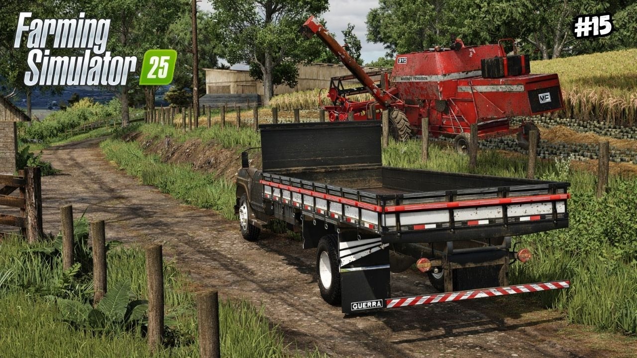 Nossa Primeira Safra da Fazenda | CHEGUEI NO PIRAMBEIRAS | Farming Simulator 25 | Ep 15