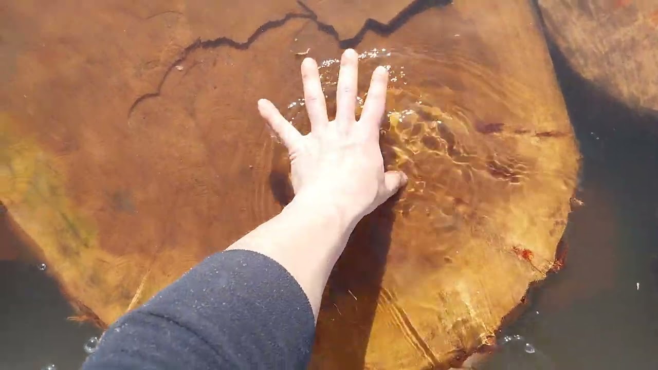 Proceso de secado de madera curándola por sumergimiento en agua.
