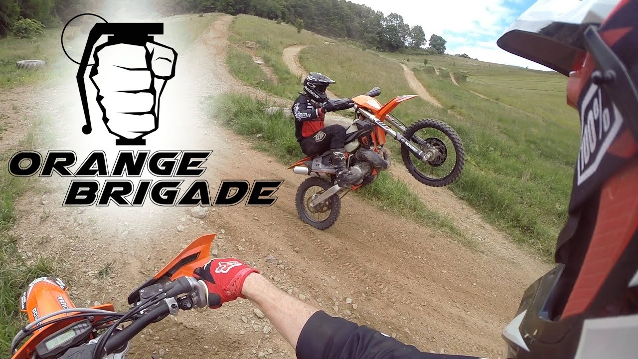 Orange Brigade and Friends // Quarantine Shenanigans