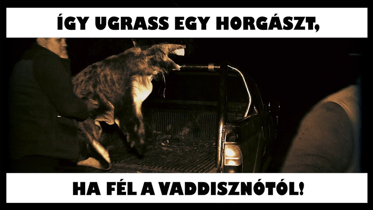 &Iacute;gy ugrass egy horg&aacute;szt, ha f&eacute;l a vaddiszn&oacute;t&oacute;l! :)