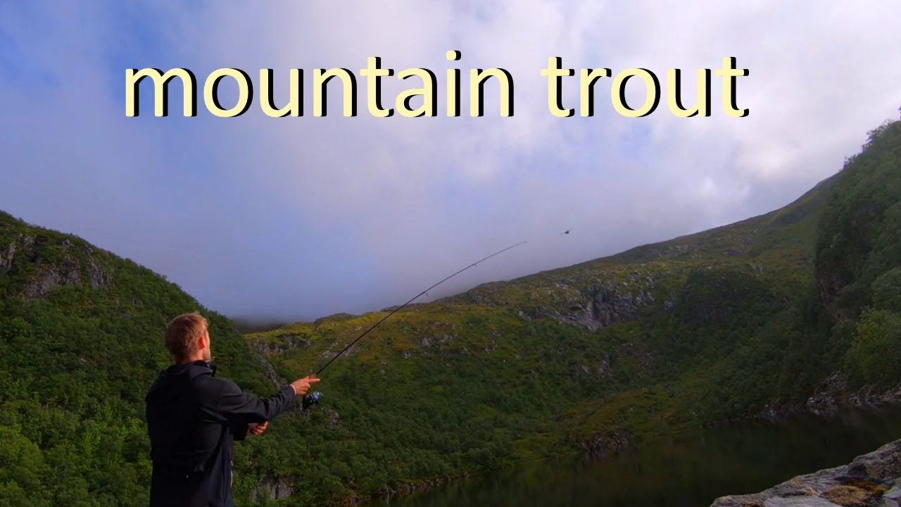 Fishing For Mountain Trout - Fjellørret