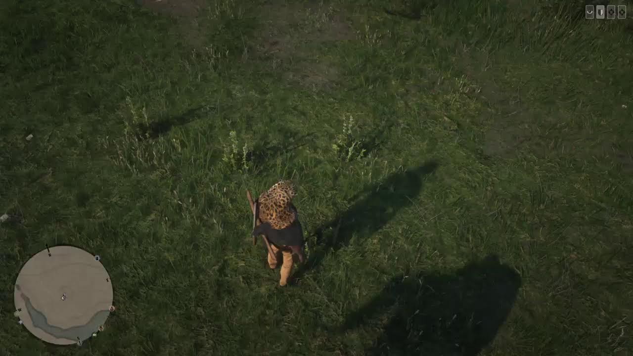 RDR 2 ONLINE: DAILY CHALLENGES