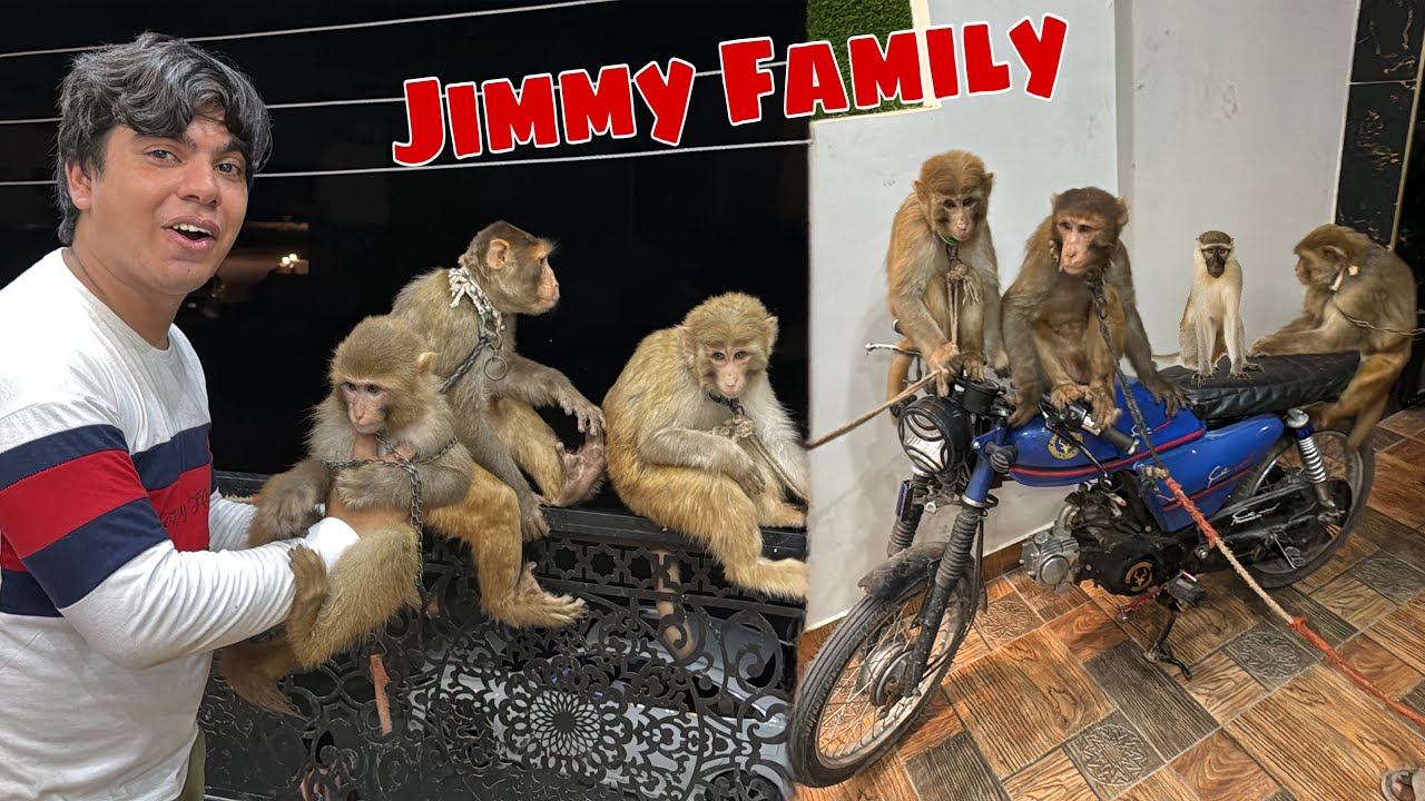 Jimmy Ki Pori Family Agai 😍 jimmy Surprised 😮