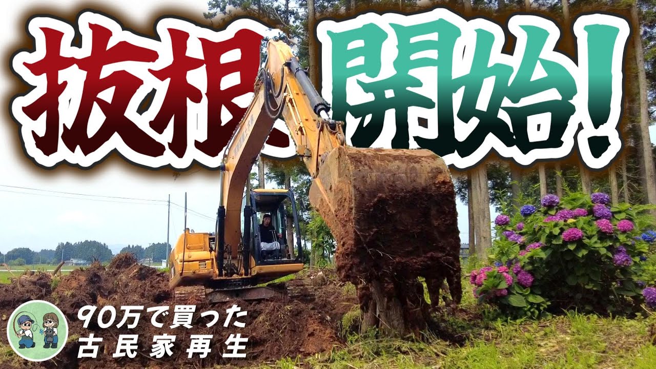 【古民家再生249】遂にいぐね跡の抜根が始まりました!  Restoration of old houses and country life