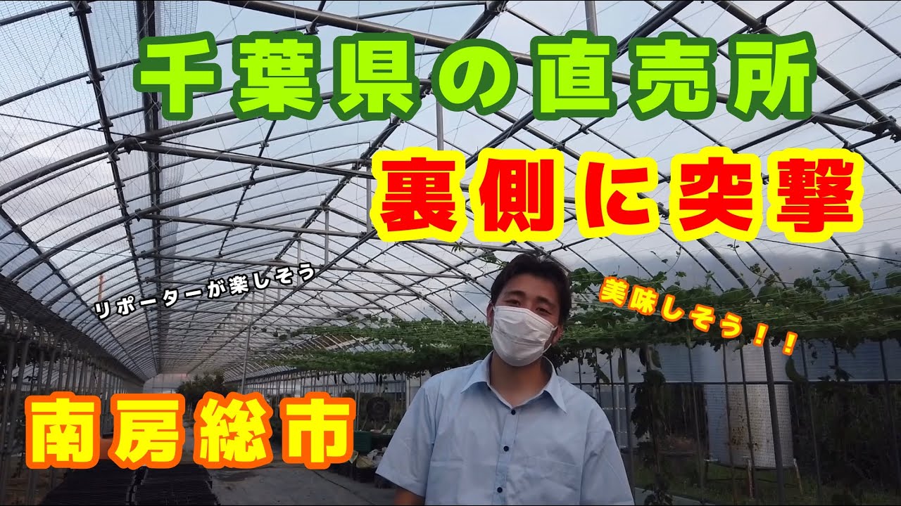 【千葉県】噂の直売所の裏側に突撃！今が旬の〇〇が美味しそうだった！