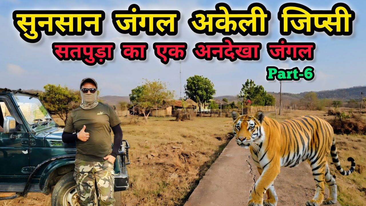 Satpura के खतरनाक जंगल की सफारी | Satpura Tiger Reserve | Bineka Forest Camp | Jamanidev Buffer