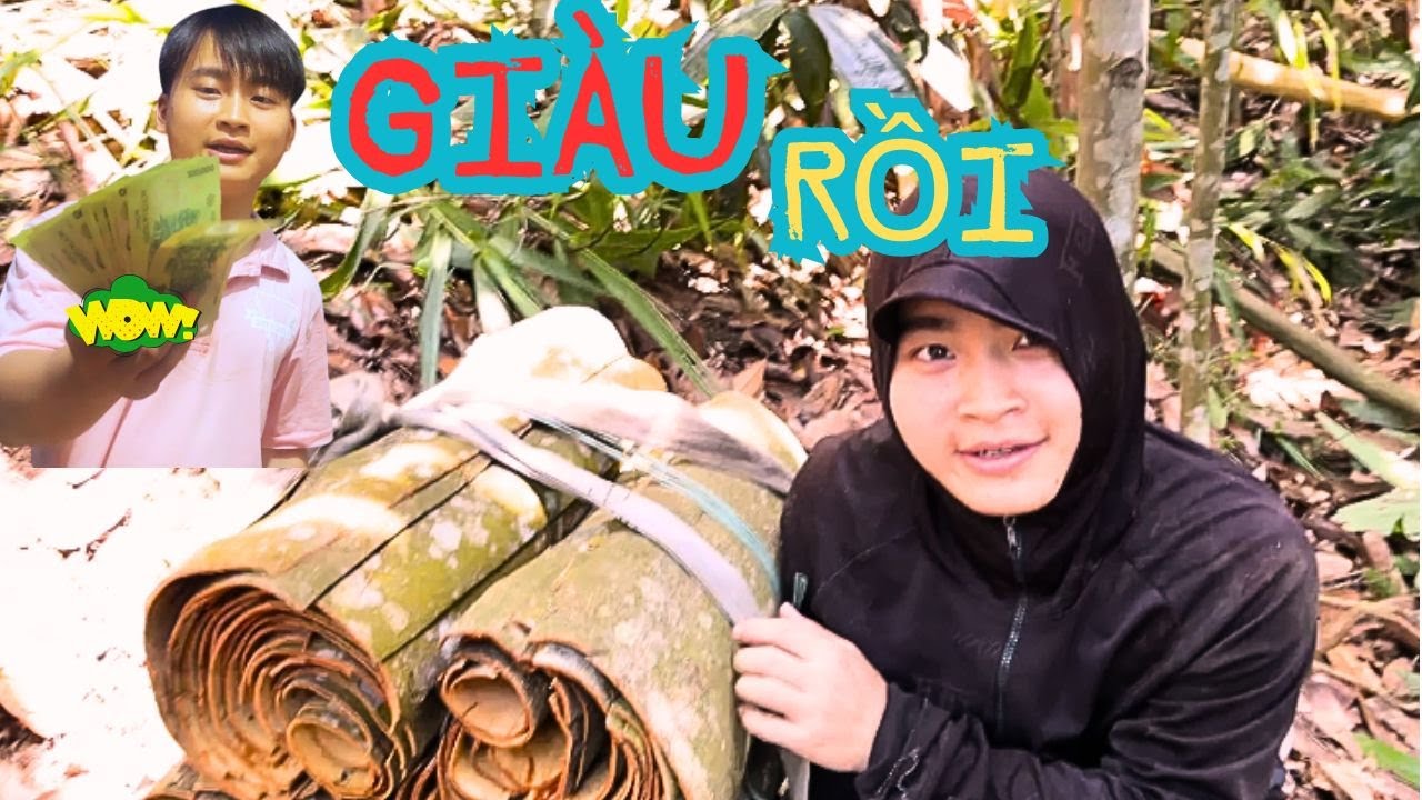 #dailyvlog - Vlog bóc quế#2 | Nhờ có cây Quế mà mình kiếm được cả triệu một ngày.